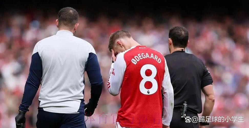 皇马接近与阿森纳谈妥厄德高转会 球员缺席合练 皇马接近与阿森纳谈妥厄德高转会 球员缺席合练